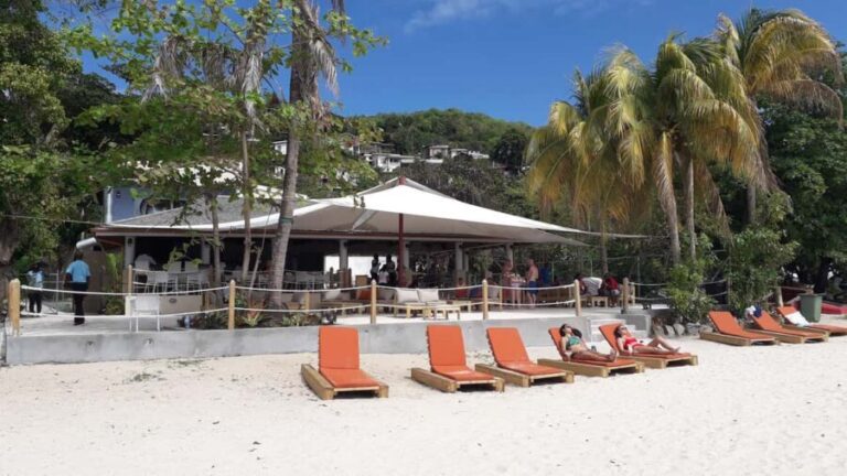 Discover Grenada: Your Sightseeing Taxi Tour Awaits - Who Will Love This Tour?