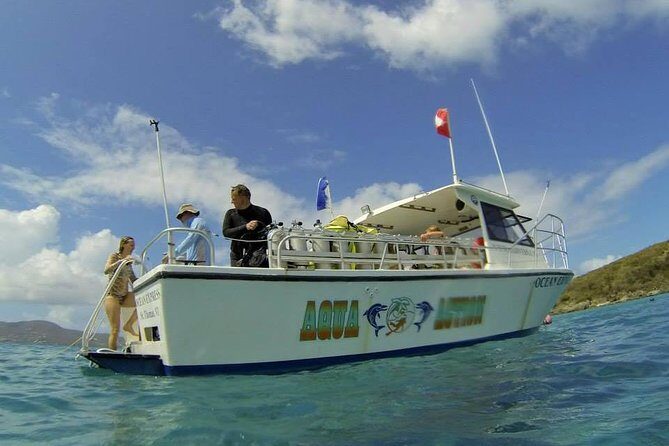 Discover Scuba Diving - What Do Travelers Say?