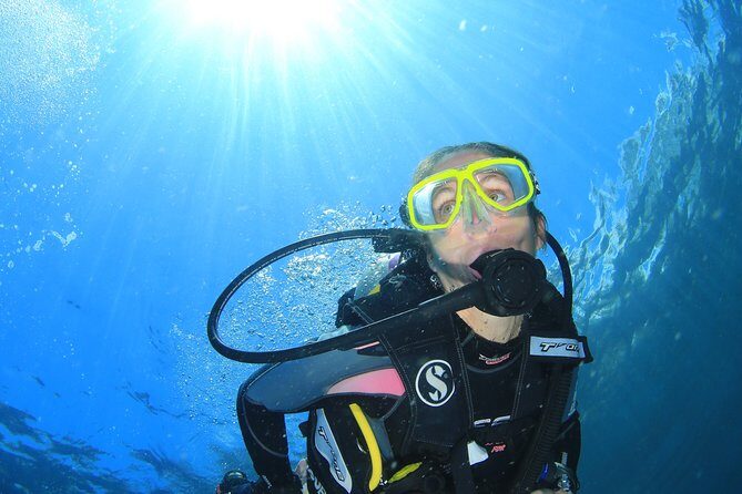 Discover Scuba Diving - Why We Like This Tour: The Highlights