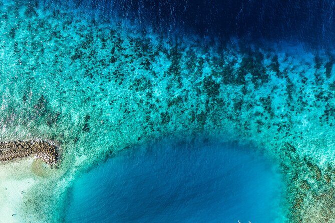 Discover Scuba Diving Experience - The Sum Up: Is It Worth It?