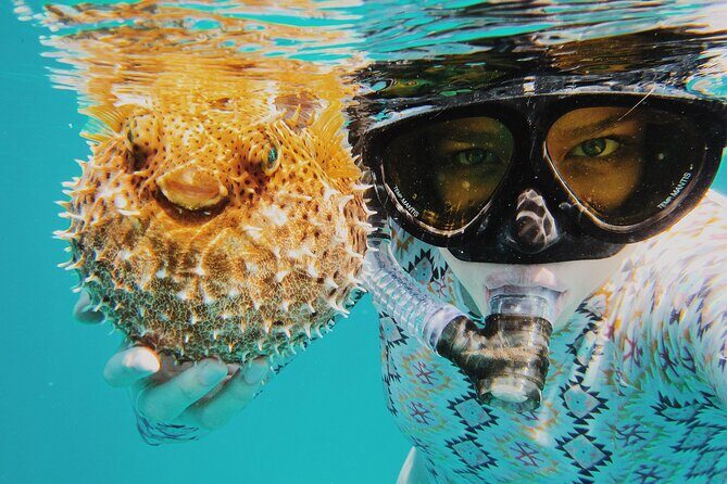 Discover Scuba Diving in Montego Bay-ONE Tank (First time Diving) - Practical Details That Matter