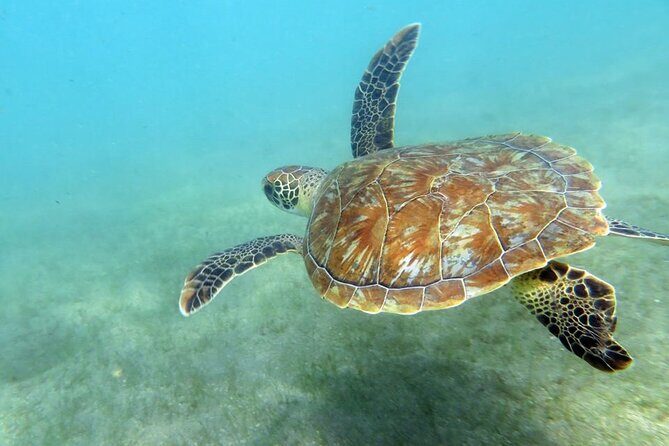Discover Scuba Diving in San Juan - The Guides and Equipment: Making the Experience Smooth