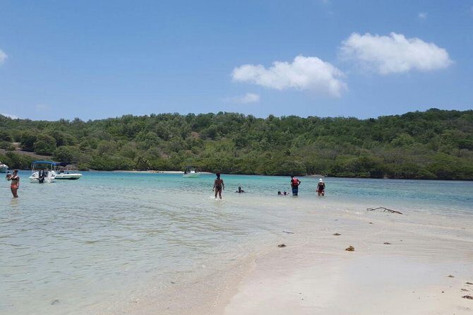 Discover the islands in the bay of Le Robert - Kayak rental half day - The Itinerary in Detail