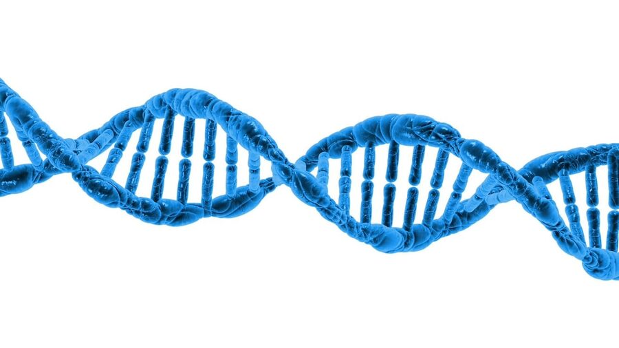 DNA double helix structure representing science and biology
