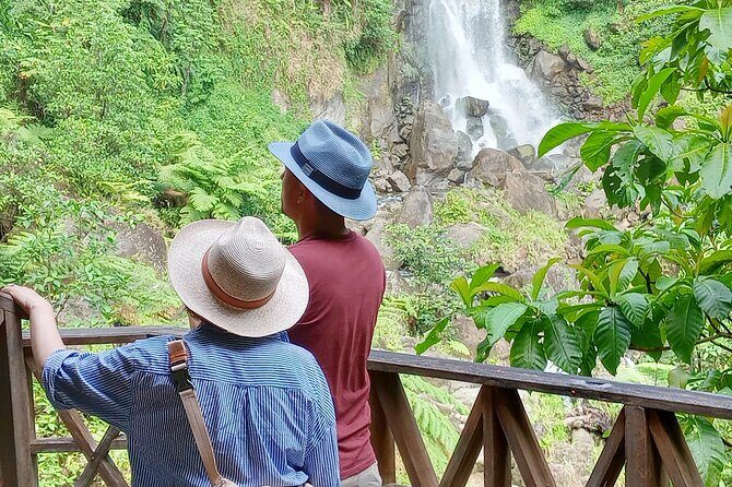 Dominica Waterfalls Full Day Private Expedition @ AUTOP TOURS - Is the Price Worth It?
