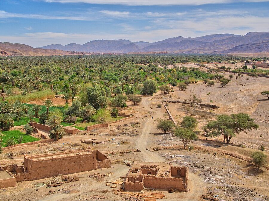 Draa Valley from Agdz Morocco with miles of date palms