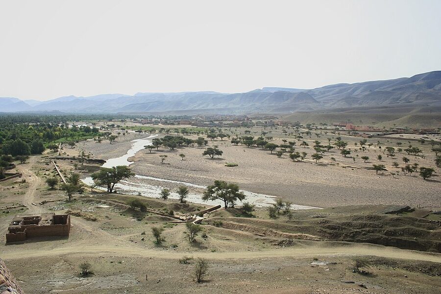 Draa Valley palms near Zagora Morocco
