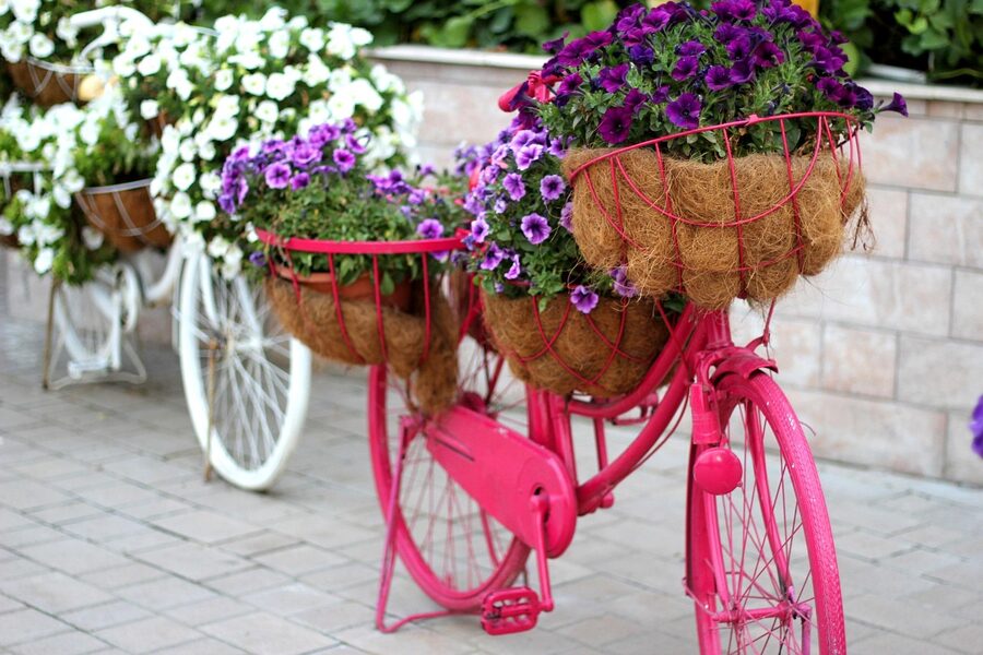 Floral bicycle installation at Dubai Miracle Garden