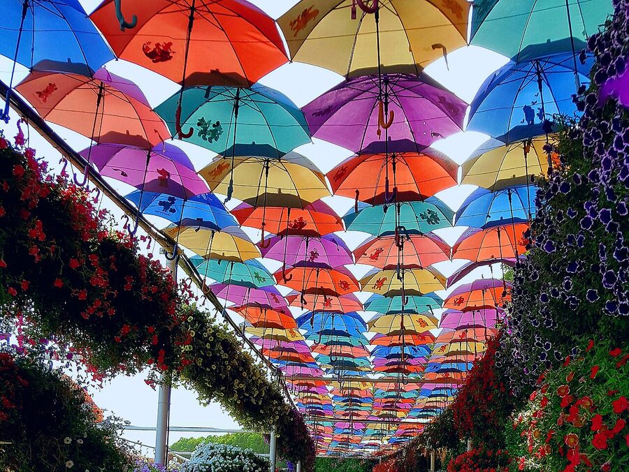 Dubai Miracle Garden main floral display