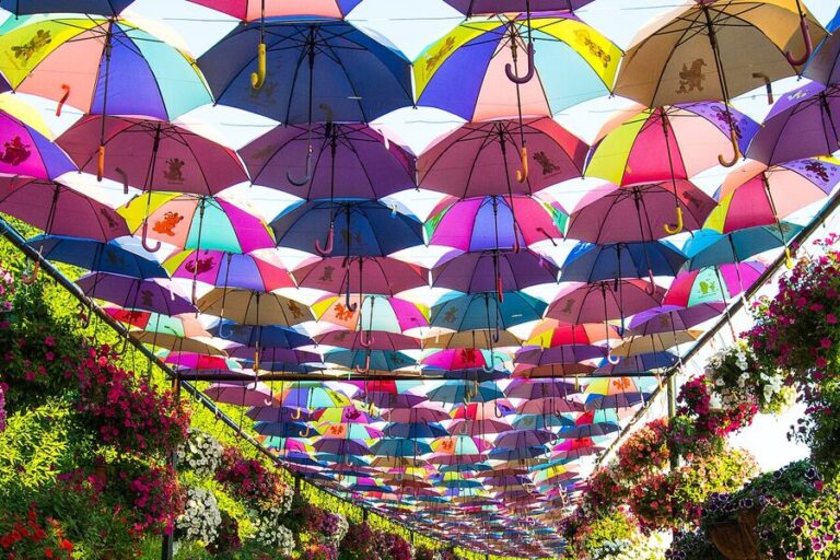 Path of Umbrellas at Dubai Miracle Garden