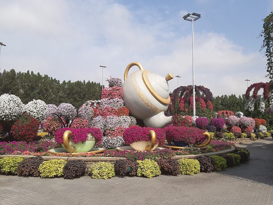 Peacock topiary at Dubai Miracle Garden