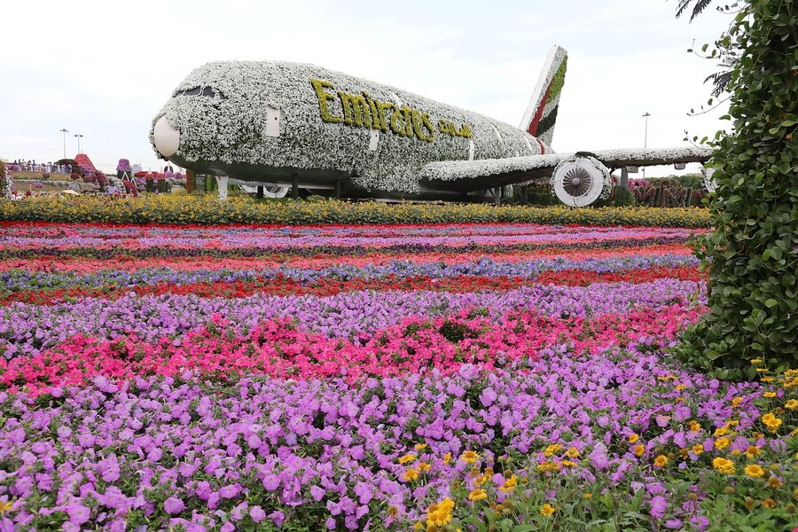 Roses display at Dubai Miracle Garden
