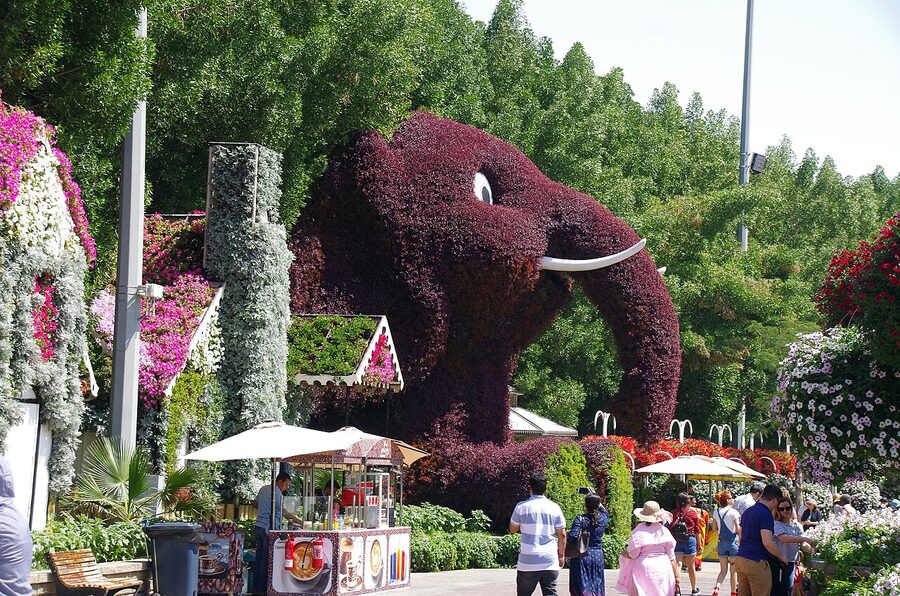 Floral topiary display Dubai Miracle Garden