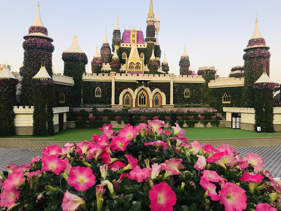 Dubai Miracle Garden wide view