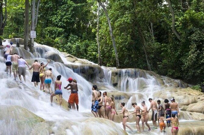 Dunn's River Falls and Horse Back Riding Excursion - The Sum Up