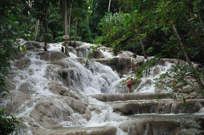 Dunns River Falls from Ocho Rios - The Experience: Highlights and Practicalities