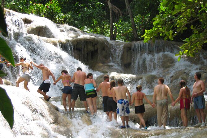 Dunn's River Falls & Luminous Lagoon Guided Tour from Montego Bay - Starting off: Comfortable Transport & Pickup