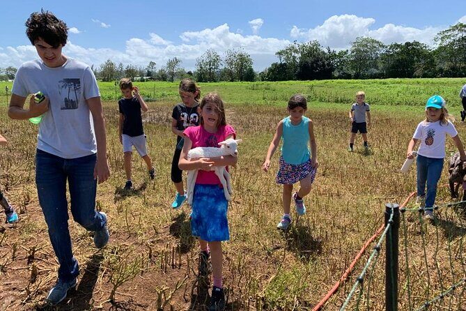Eco Friendly Farming Tour to Explore Dorado's Most Beautiful Farm - The Sum Up