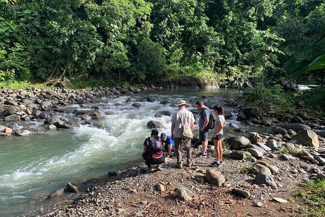 El Yunque National Forest and Luquillo Beach Combo - Real Traveler Perspectives