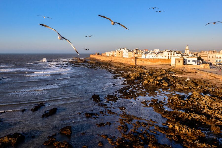 Essaouira rocky coastline aerial