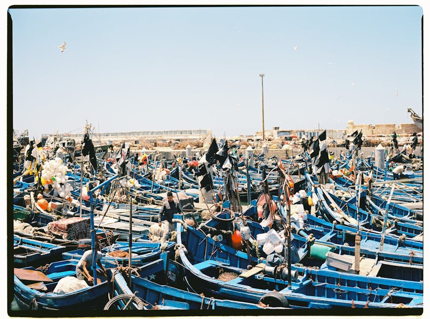 Colorful fishing boats Essaouira harbor