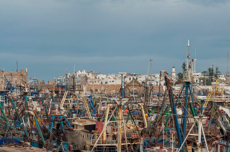 Essaouira fish market at port