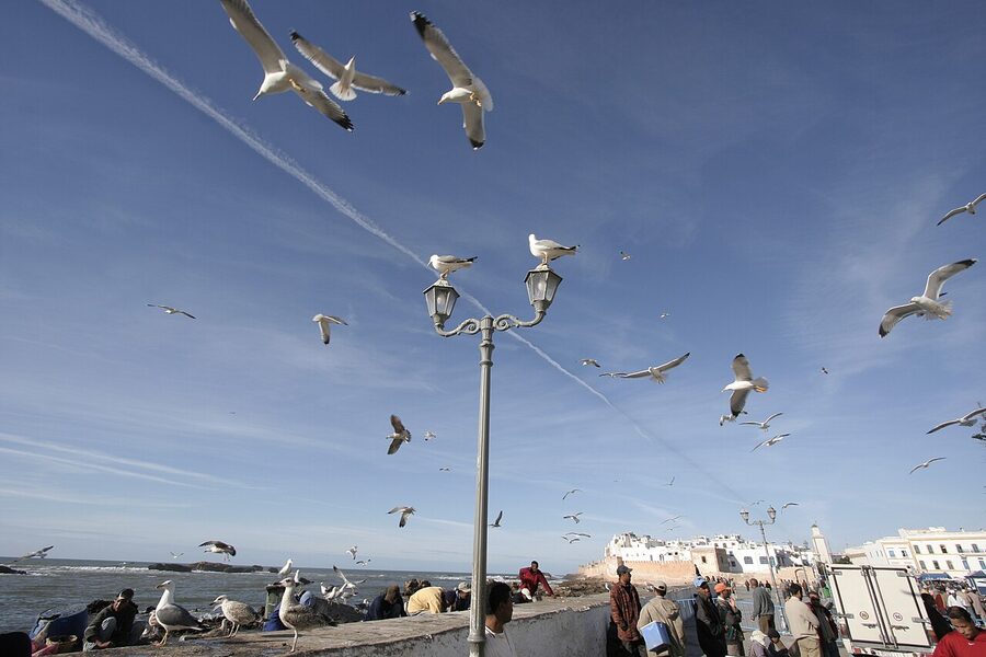 Small group Essaouira day trip