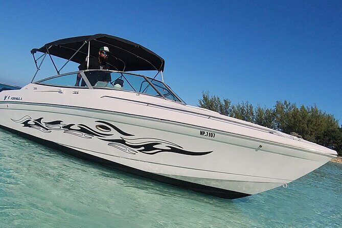 Exotic half day private charters to Rose Island, Pigs and Turtles - What Travelers Say