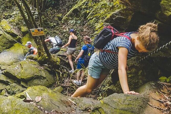 Explore Authentic Guadeloupe with a Local Multilingual Guide - Why This Tour Offers Great Value