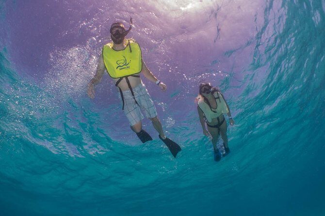 Fajardo, Puerto Rico: Morning Snorkeling Beach Tour - What to Expect at Each Reef