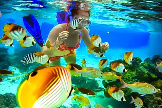 Family Fun-Snorkeling with Lunch Stop from Montego Bay - What Makes This Tour Stand Out?