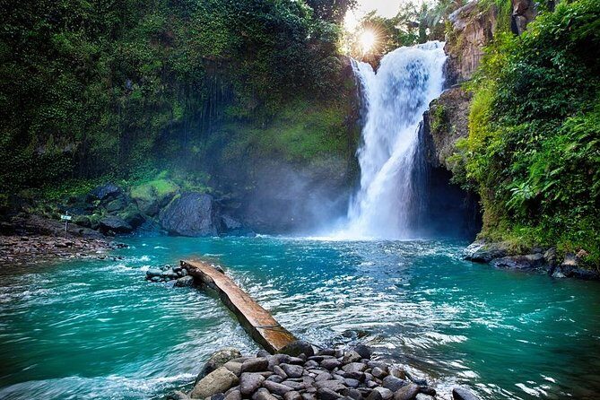 Fantastic Ubud Tour with Jungle Swing - What’s Included and What’s Not