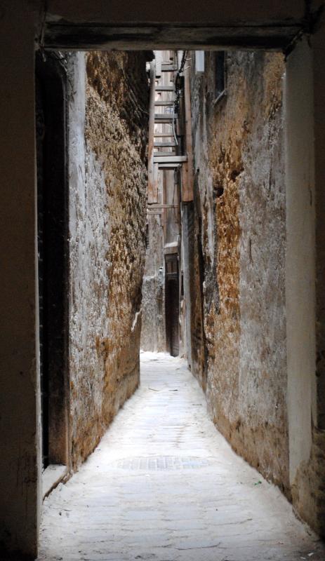 Fes el Bali old medina view 2
