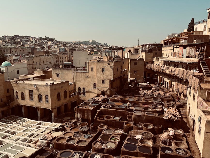 Fez leather dyeing vats