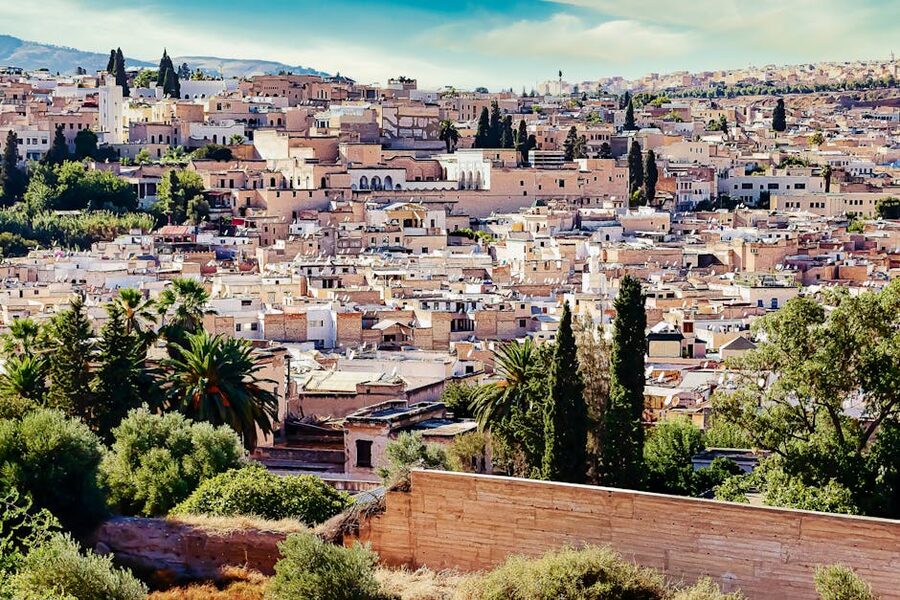 Fez Medina aerial historic