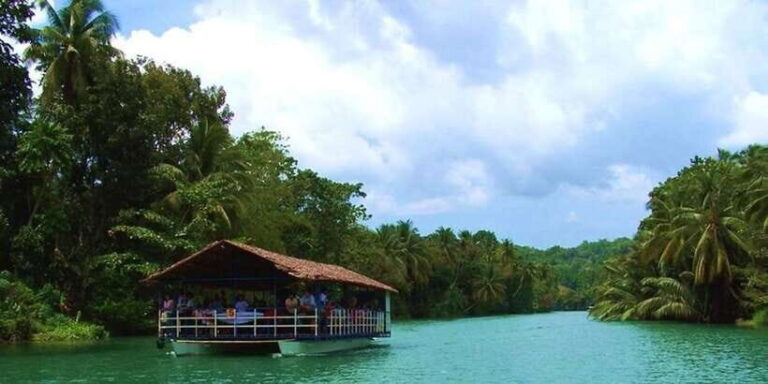 From Bohol & Panglao Island: Full-Day Bohol Tour - What Makes This Tour Stand Out?