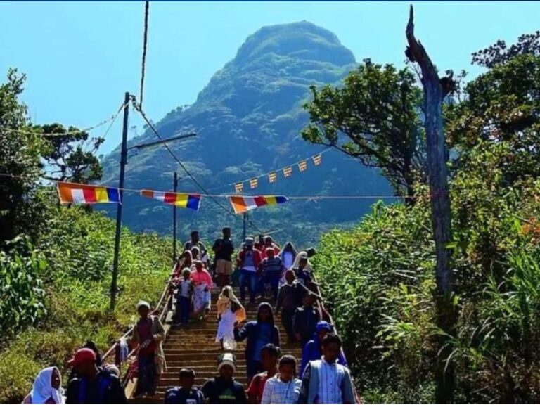 From Kandy: Adams Peak Trekking & Epic Guided Hike - The Practicalities and What They Mean for You