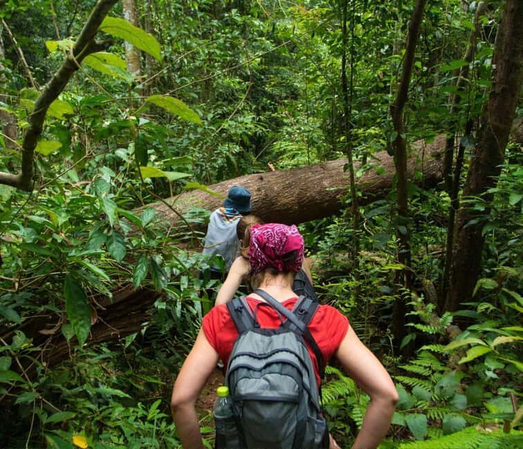 From Kuala Lumpur: Taman Negara National Park Private Tour - Final Verdict