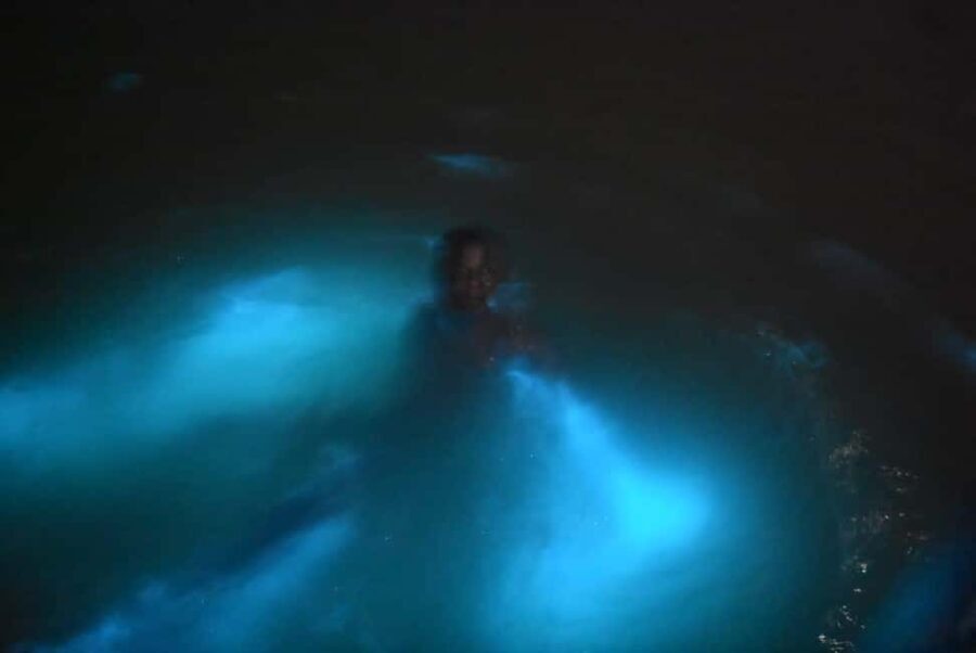 From Montego Bay: Luminous Lagoon Night Tour - Stories, Guidance, and Atmosphere