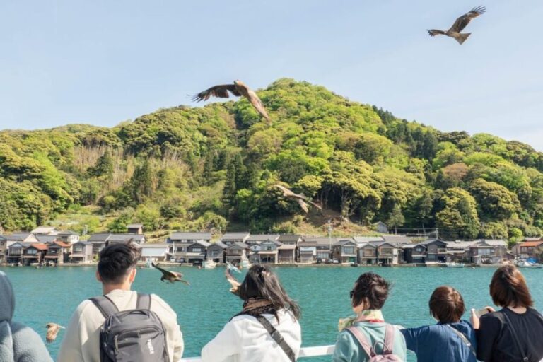 From Osaka/Kyoto: Amanohashidate Day TourIncluding tickets - Introduction: Why This Tour Might Be Just Right for You
