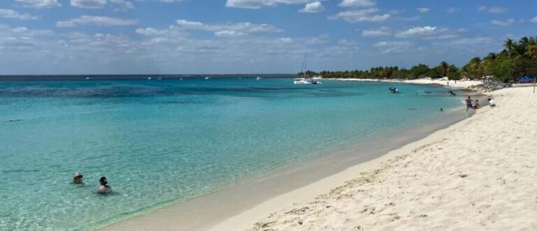 From Punta Cana: Saona Island Full-Day Tour with Lunch - The Highlights: Speedboats, Catamarans, and the Natural Pool