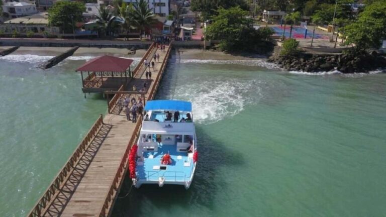 From Punta Cana: Whale Watching and Montana Redonda Tour - What Makes This Tour Stand Out?