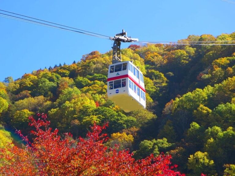 From Takayama: Shinhotaka Ropeway and Kamikochi tour - An in-depth look at the experience