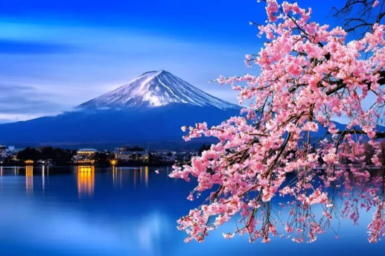 From Tokyo: Mount Fuji & Hakone Full Day Private Tour - The Sum Up
