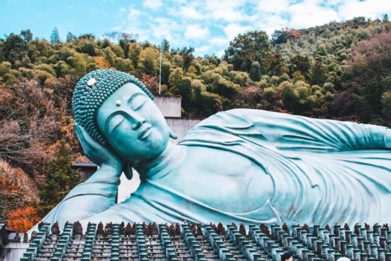 Fukuoka: Customized Tour with Local Guide - Why This Tour Works