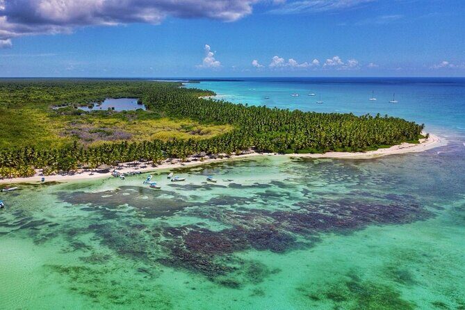 Full-Day Cruise of Isla Saona from Santo Domingo with Lunch - The Food and Drinks: A Meal to Remember?