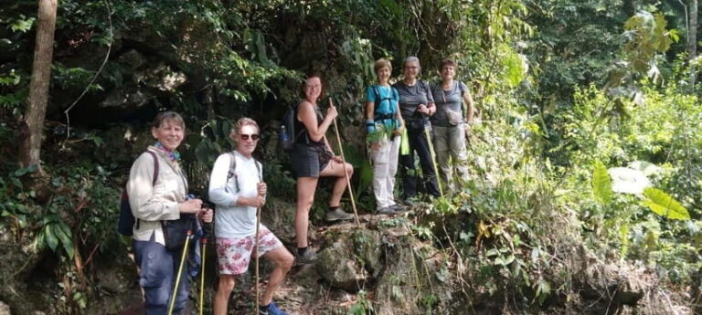 Full day hike - climbing in Jungle of Cat Ba National park - What Makes This Tour Stand Out?