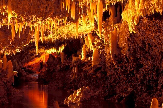 Full-Day Natural Heritage Tour in Barbados with Lunch - Transportation and Group Size