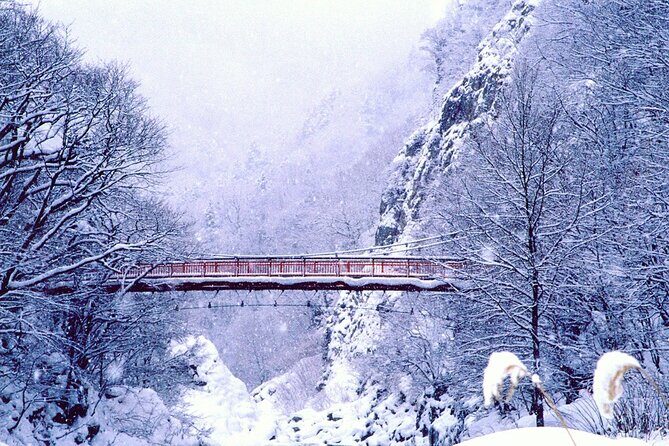 Full Day Private Skiing / Snowboarding Tour in Sapporo - Why Travelers Love This Tour