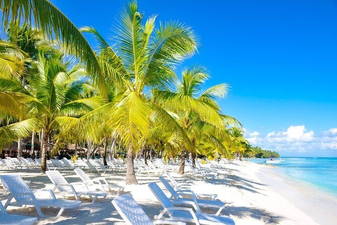 Full-Day Saona Island Escape Beaches, Adventure, Paradise Vibes - Final Thoughts